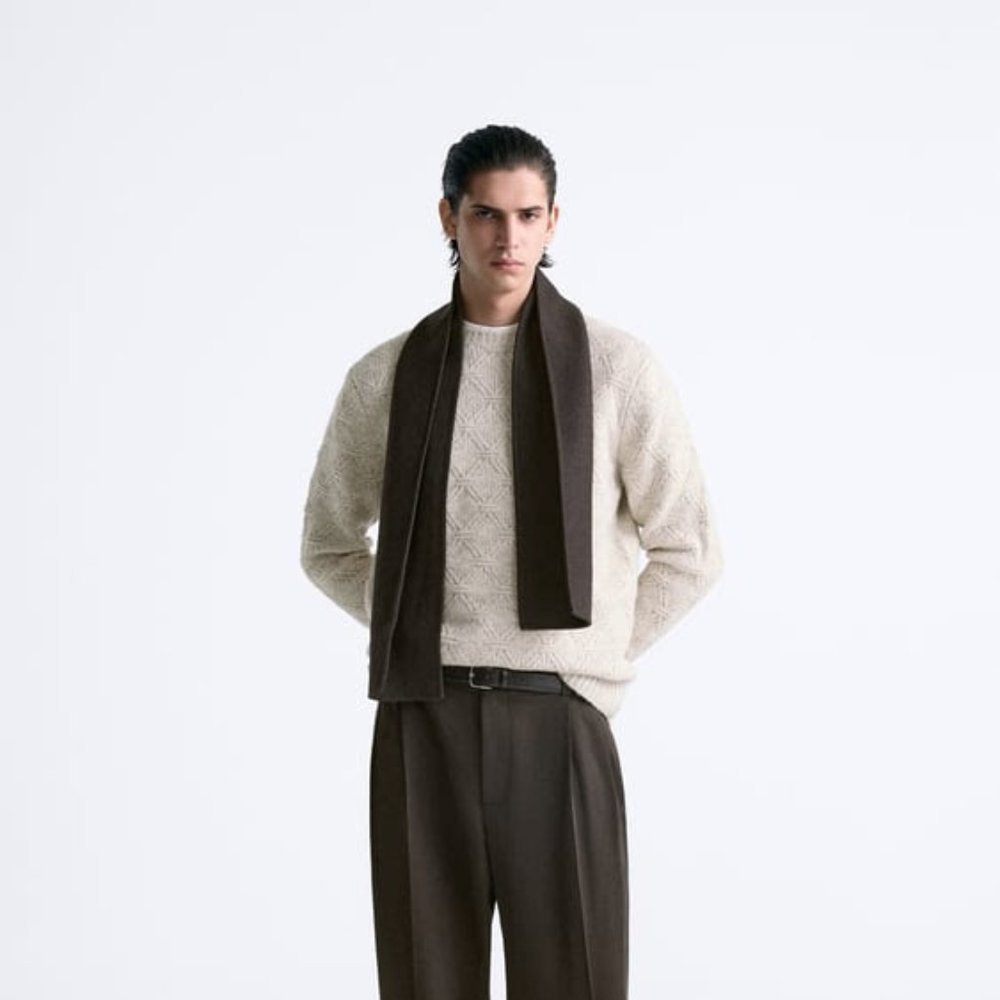 Zara Men's Textured Sweater (Offwhite)